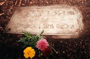 Photo of Jonathan's Grave Site