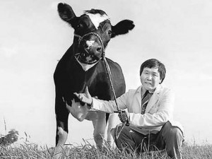 Photo of Xianshong with his cloned cow Amy